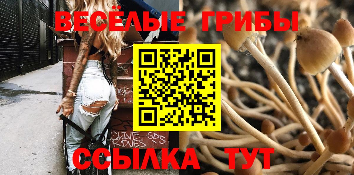 Псилоцибиновые грибы мицелий Каменка